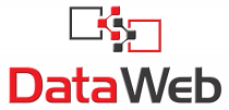 Dataweb_Logo